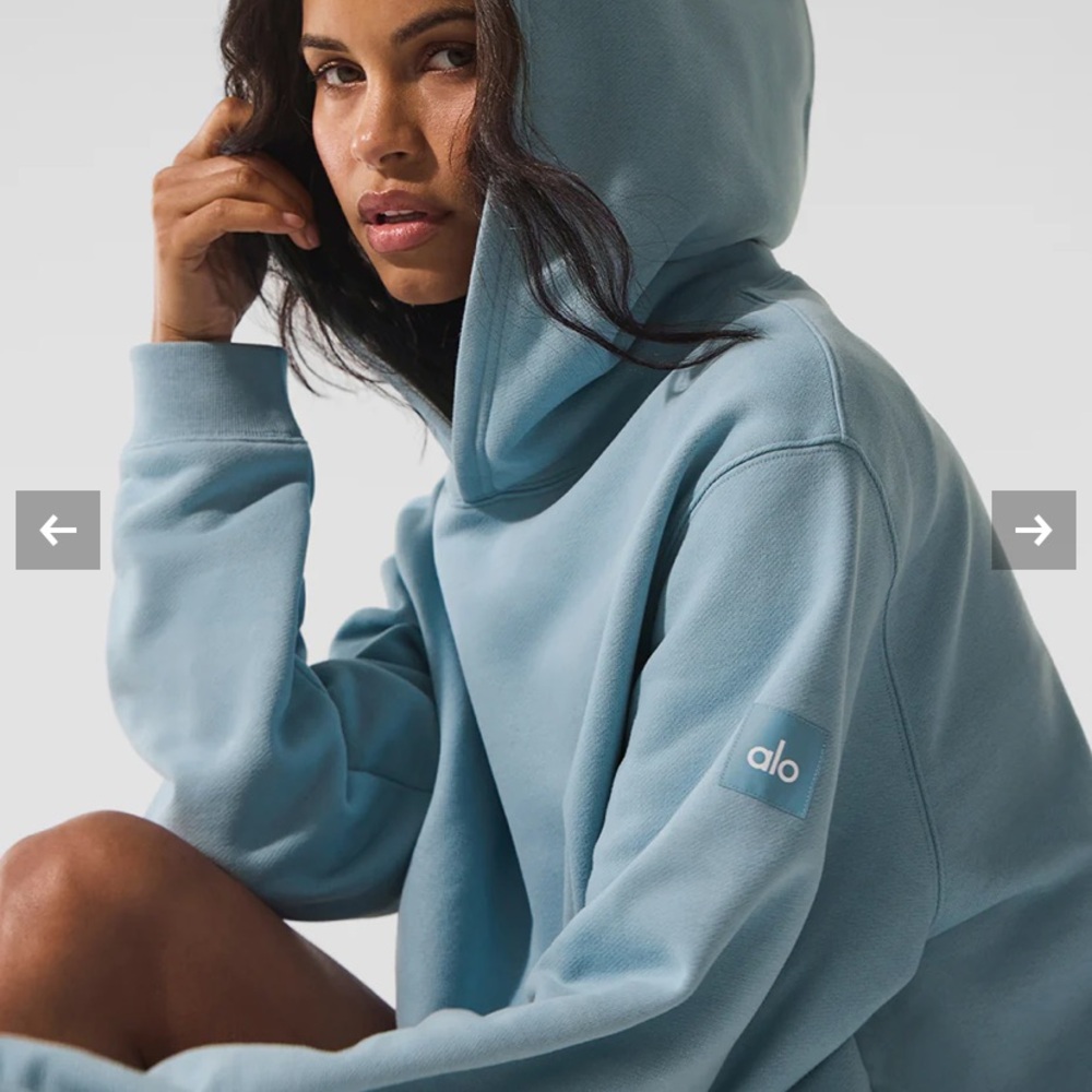 ALO Renown Heavy Weight Hoodie